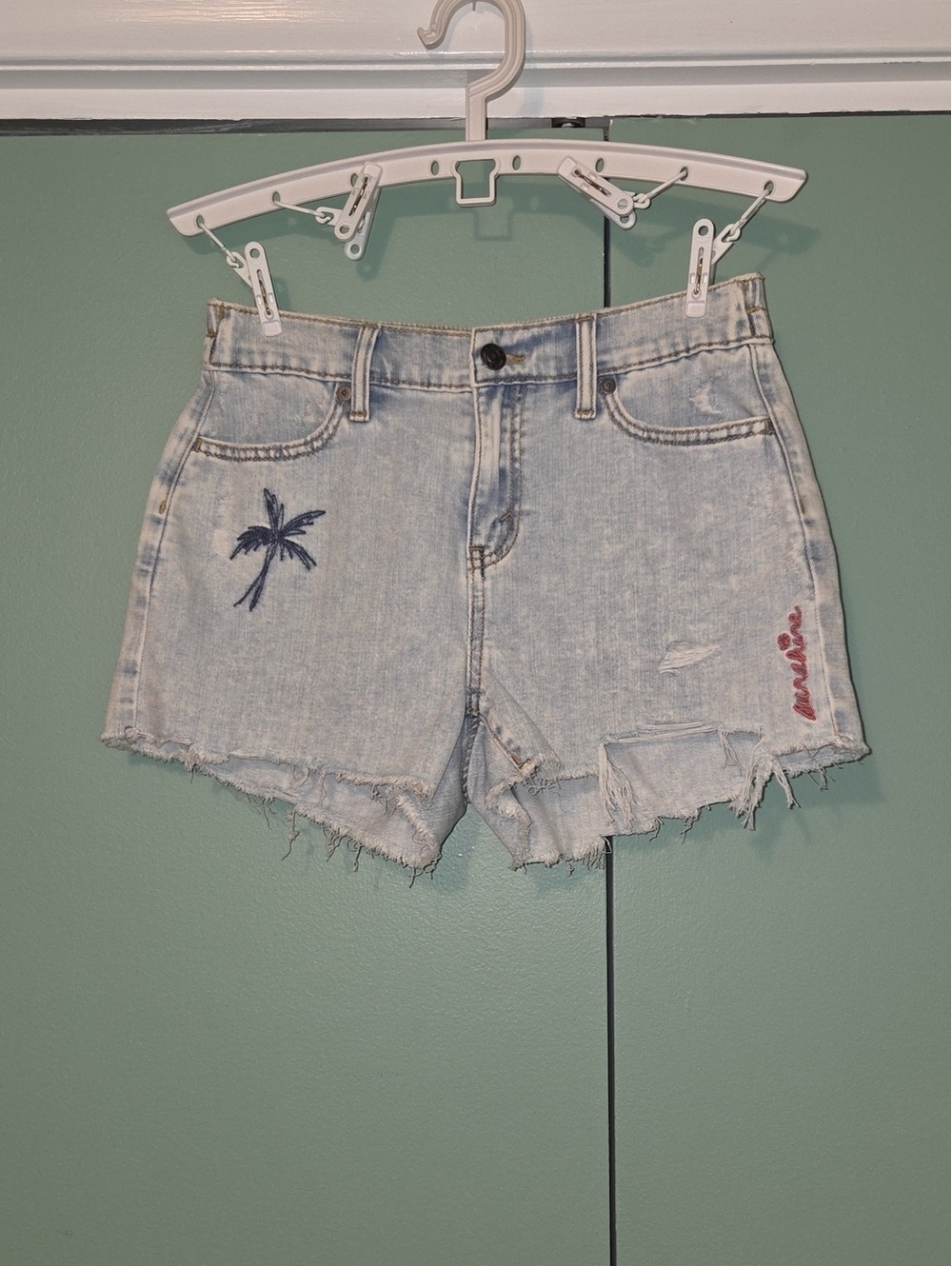 Aerie Light Wash Denim Frayed Hem Shorts Palm Embroidery Size Xs